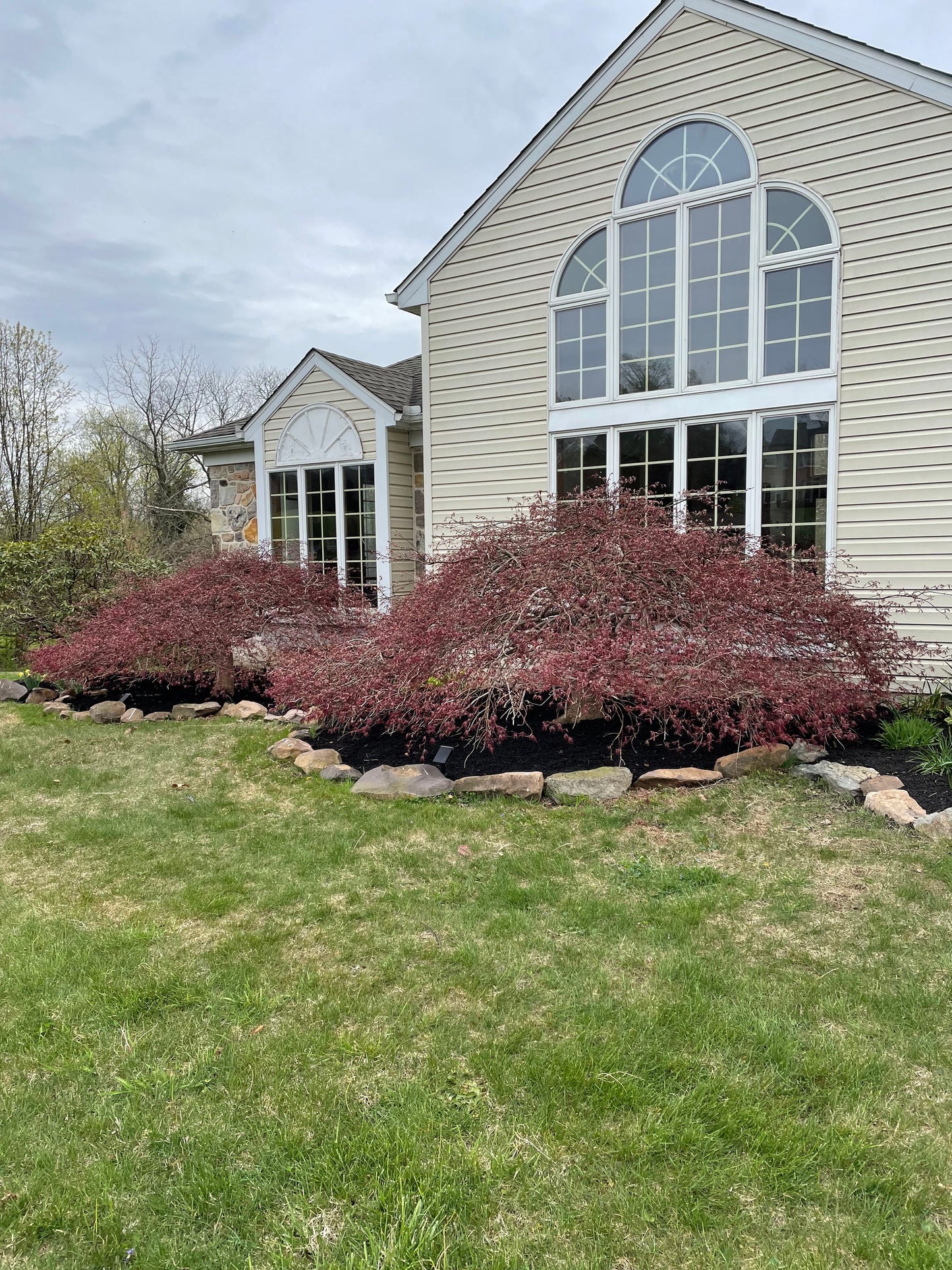 Mulching Services