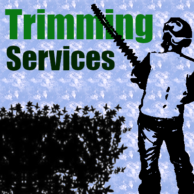 Trimming Services - Hedge and Shrub