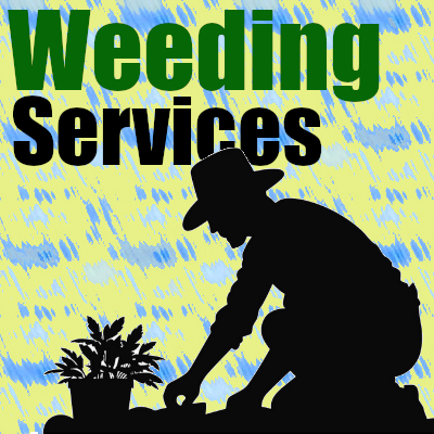 Landscaping and Weeding in Reading, birdsboro, Exeter, Douglassville and Pottstown, PA