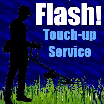 Flash Touch Up Service - Trimming and Blowing